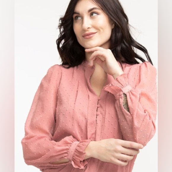 Blousology jacquard dot button down front blouse pink size 1X - Picture 2 of 16